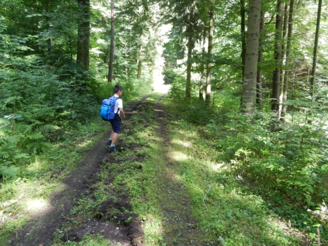 Der Wald zwischen Tiefenort und Dönges