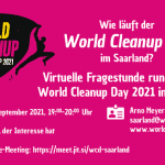 Online Fragestunde rund um den World Cleanup Day im Saarland